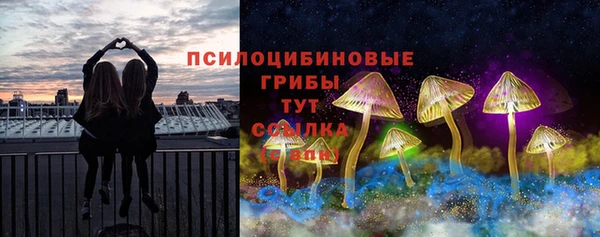 ГАЛЛЮЦИНОГЕННЫЕ ГРИБЫ Бугульма