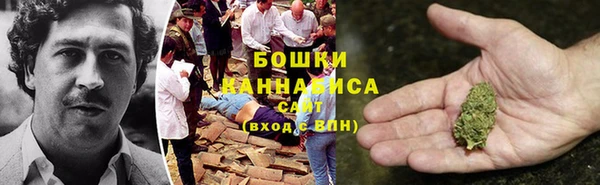 ECSTASY Бронницы