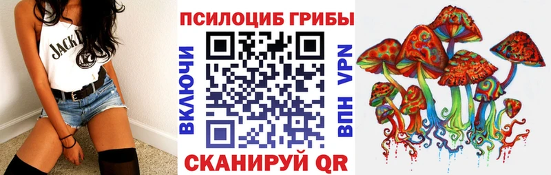 Псилоцибиновые грибы Psilocybe  закладка  Новая Усмань 